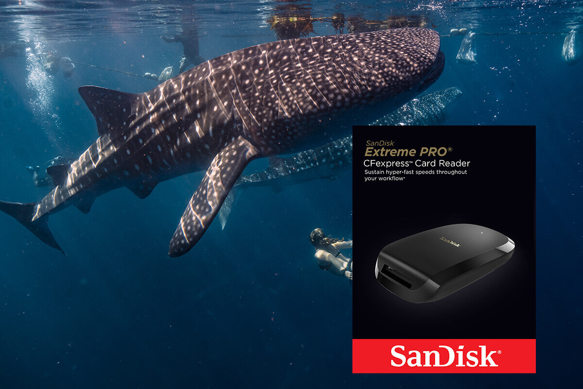 karta sandisk zdjecie lifestyle