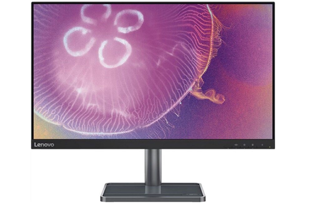 Monitor LENOVO L24q-35 24 2560x1440px IPS 4 ms Wyraziste kolory 