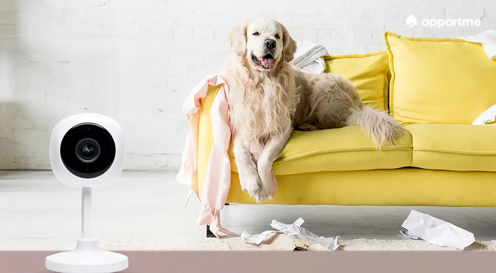 Kamera APPARTME APRM01001 pilnuj swojego pupila