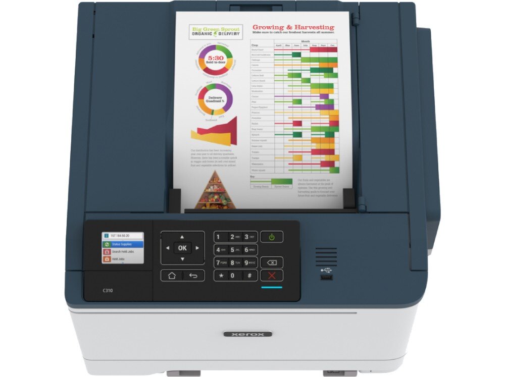 Роздільна здатність принтера XEROX C310V DNI