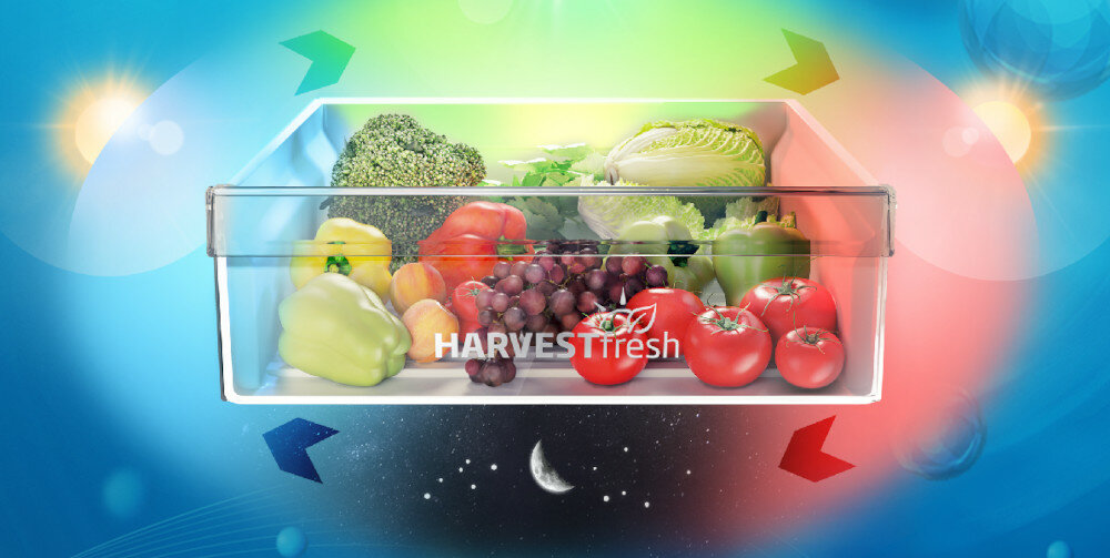 Lodówka BEKO BCNE400E40SN kolory technologia dzień noc HarvestFresh™