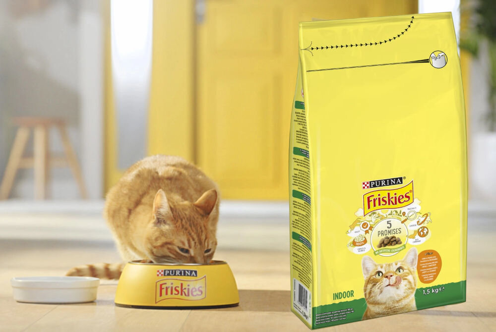 Karma dla kota FRISKIES Indoor Kurczak z warzywami 1,5 kg witaminy zdrowie