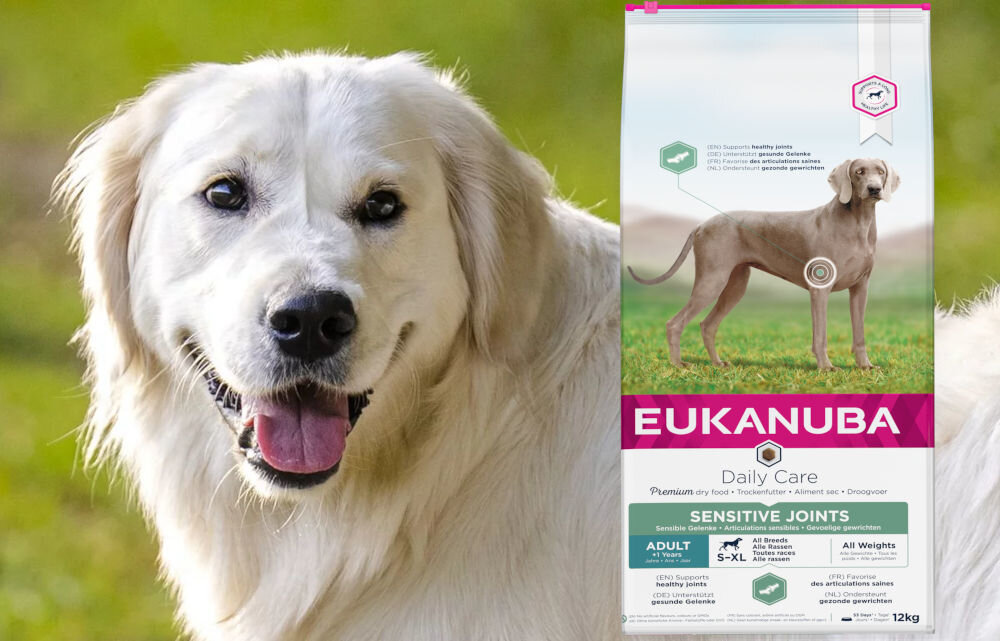Karma dla psa EUKANUBA Daily Care Sensitive Joints Adult Breeds 12 kg dawkowanie analiza sklad