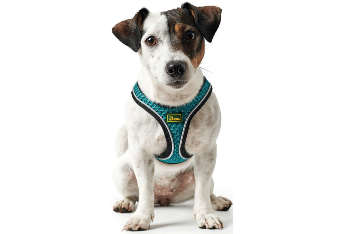 Szelki HUNTER Hilo Comfort 67138 S/M Turkusowy Dla Twojego pupila wygląd prezentacja siedzący pies