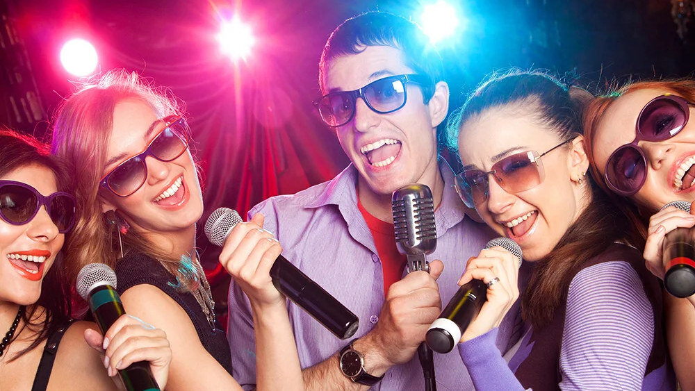 Power audio MANTA SPK5510  - złącza