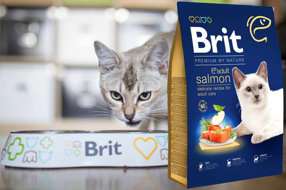 Karma dla kota BRIT Premium by Nature Łosoś 1,5 kg witaminy zdrowie