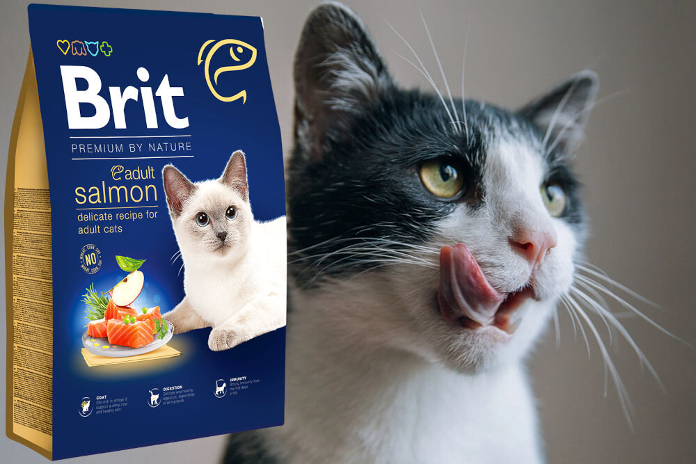 Karma dla kota BRIT Premium by Nature Łosoś 1,5 kg dodatki analiza