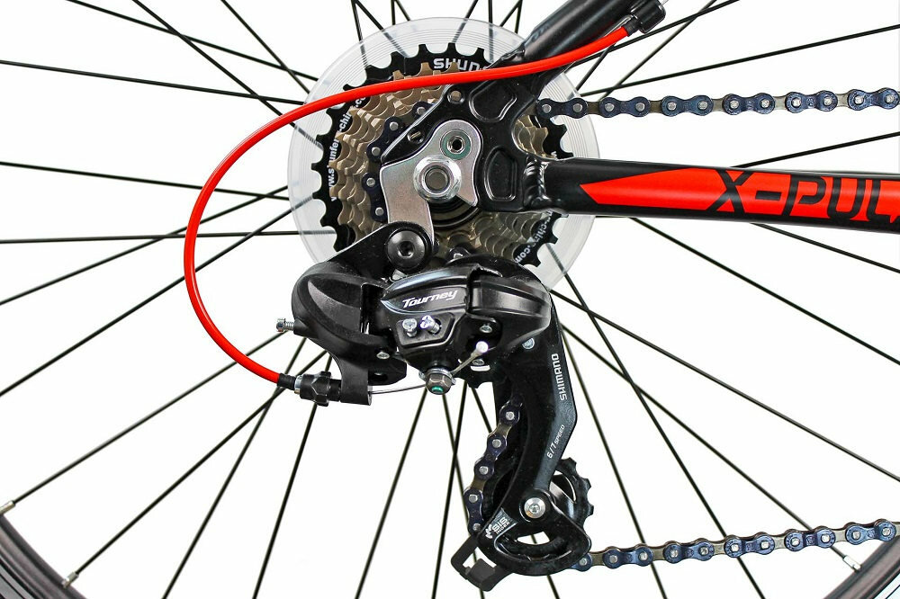 Rower górski MTB INDIANA X-Pulser 1.6 M19 - Przerzutki Shimano Tourney