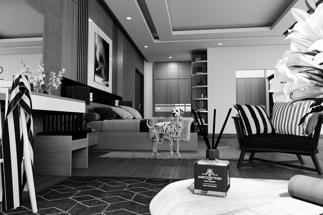 W elegancko urządzonym wnętrzu znajduje się flakon z patyczkami zapachowymi MARCELA VICTORIA Royalty 100 ml. W tle widoczny jest pies stojący na dywanie oraz meble i dekoracje.