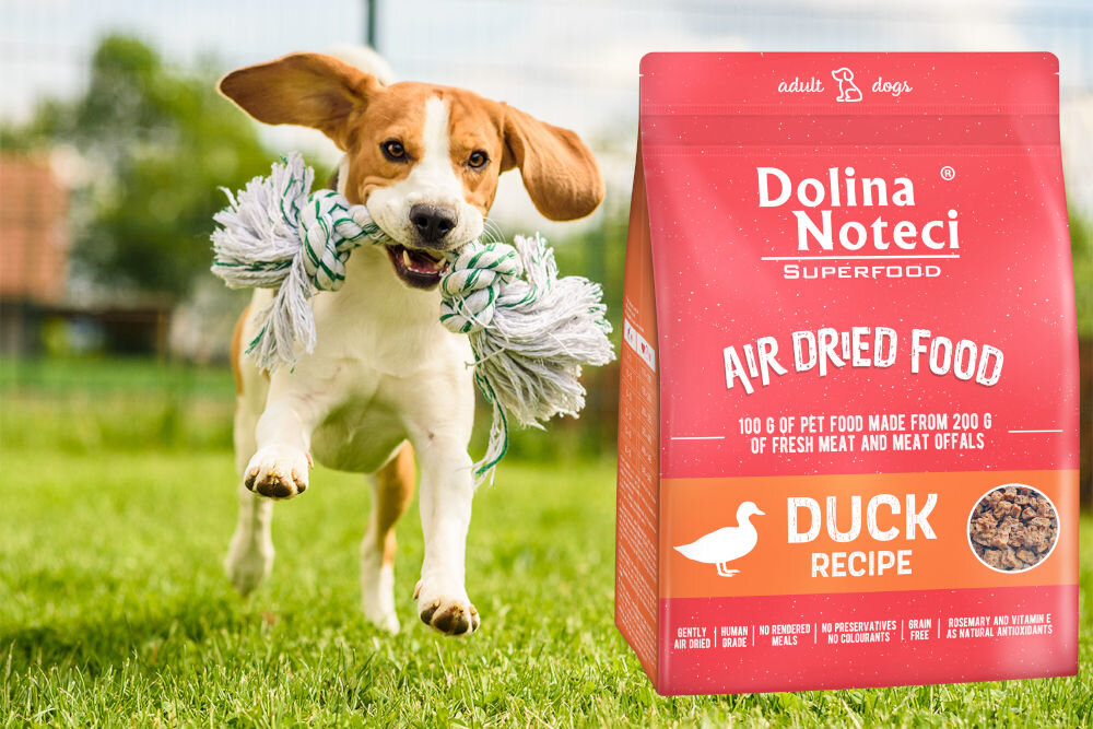 Karma dla psa DOLINA NOTECI Superfood Kaczka 1 kg naturalne składniki wielkość krokietów