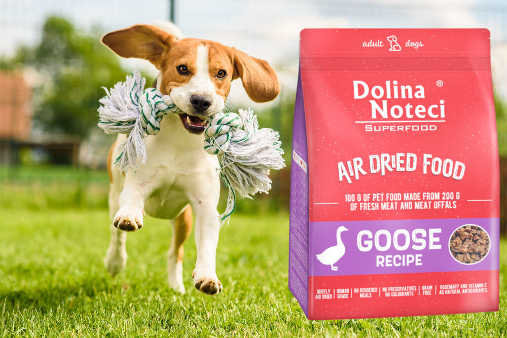 Karma dla psa DOLINA NOTECI Superfood Gęś 1 kg naturalne składniki wielkość krokietów