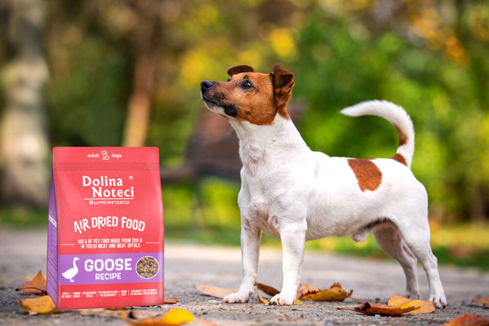 Karma dla psa DOLINA NOTECI Superfood Gęś 1 kg dawkowanie analiza sklad