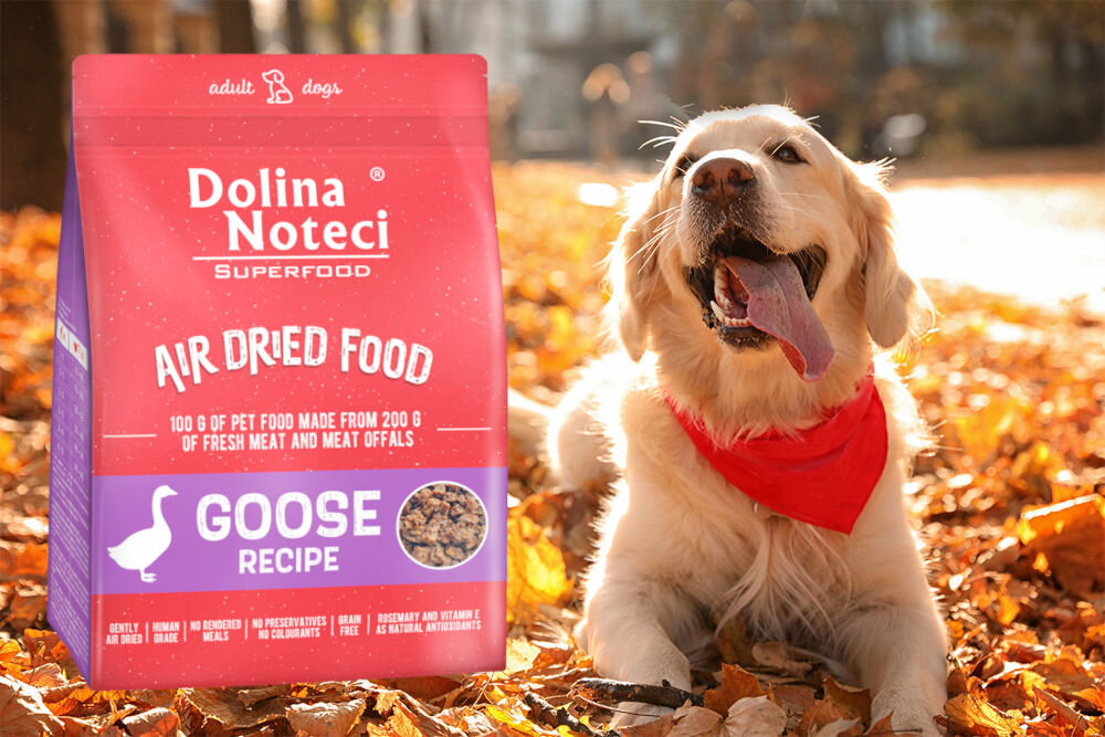 Karma dla psa DOLINA NOTECI Superfood Gęś 1 kg dawkowanie analiza sklad