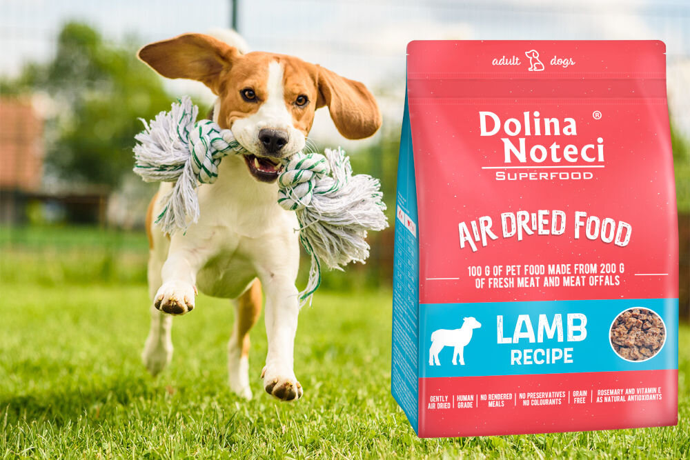 Karma dla psa DOLINA NOTECI Superfood Jagnięcina 1 kg naturalne składniki wielkość krokietów