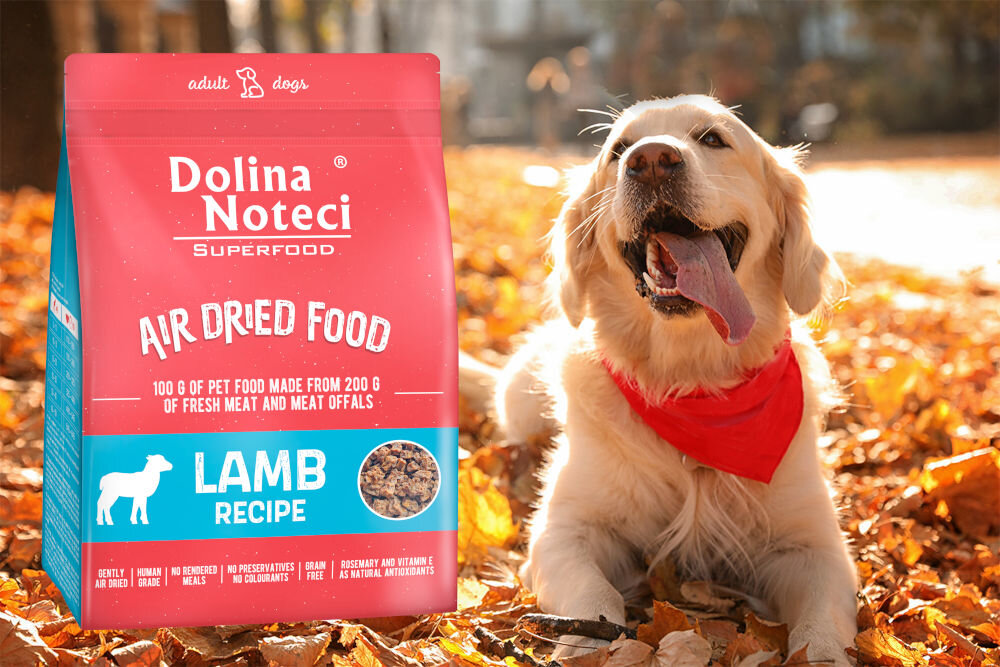 Karma dla psa DOLINA NOTECI Superfood Jagnięcina 1 kg dawkowanie analiza sklad