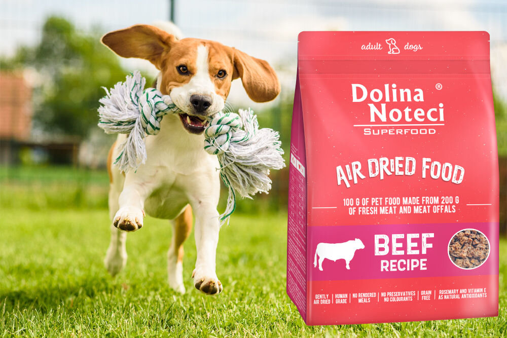 Karma dla psa DOLINA NOTECI Superfood Wołowina 1 kg naturalne składniki wielkość krokietów