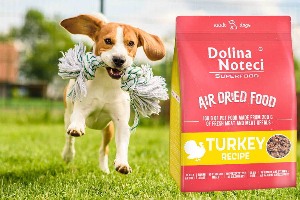 Karma dla psa DOLINA NOTECI Superfood Indyk 1 kg naturalne składniki wielkość krokietów