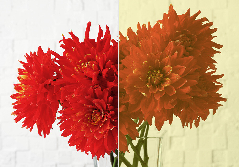 Projektor ACER M311 kolory technologie przebarwienia