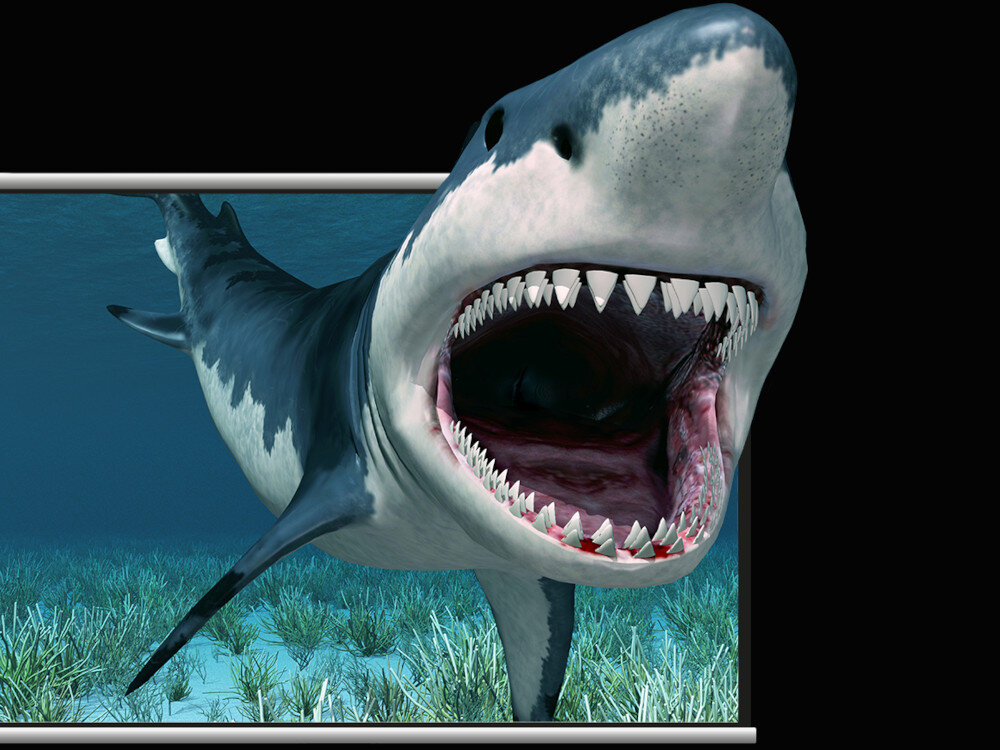 Projektor ACER M311 obraz 3D