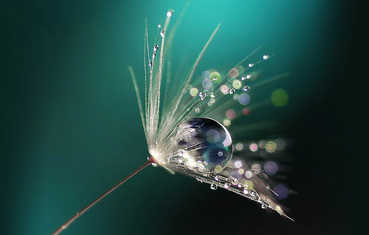 Projektor ACER H5386BDi obraz rozdzielczość jasność kontrast