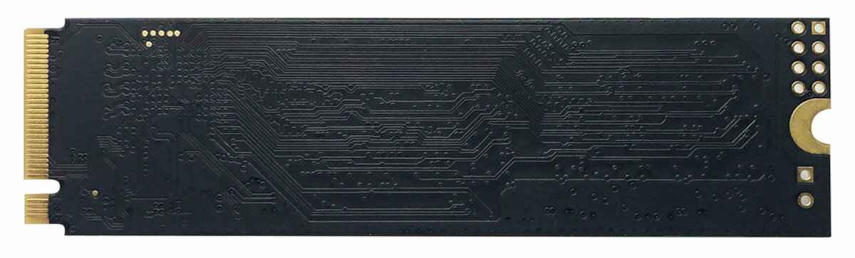 PATRIOT-240GB-P310-tyl