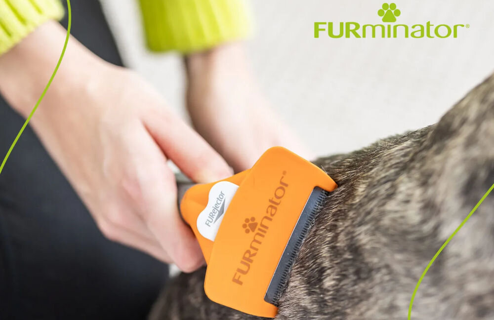 Szczotka FURMINATOR FUR151388 Czarno-pomarańczowy dla pupila ręka trzymająca szczotkę w kolorze pomarańczowym przycisk czesanie ciemnej sierści pupila