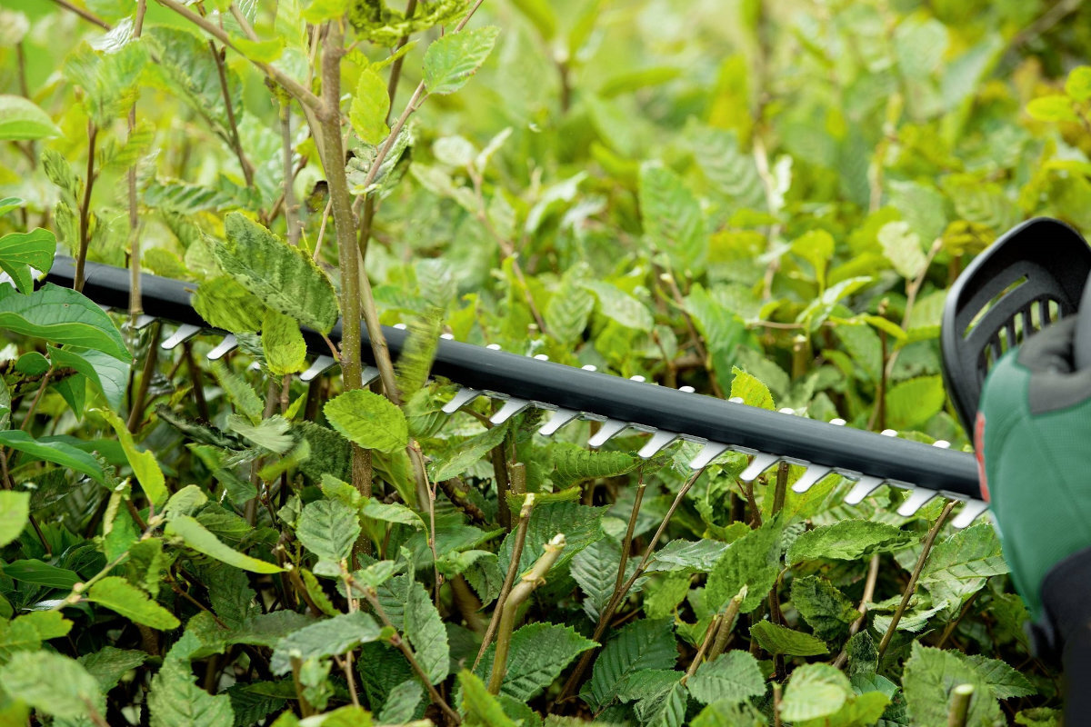 Nożyce do żywopłotu BOSCH Universal HedgeCut 0 600 849 K01 18V.50 grube galezie to nie wyzwanie