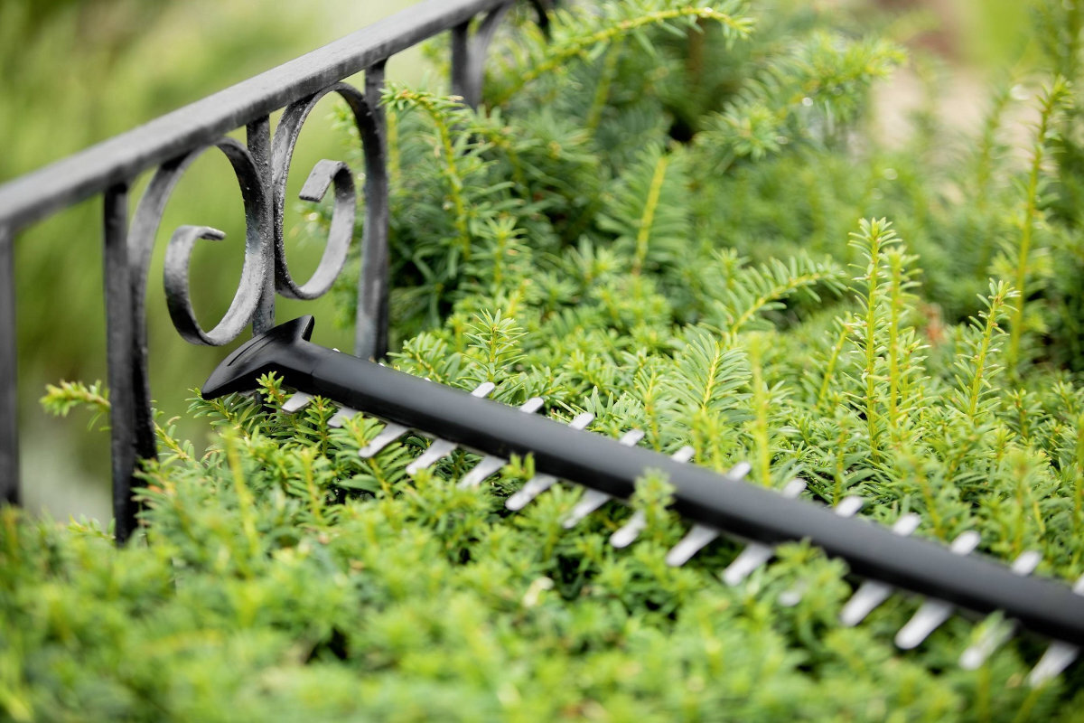 Nożyce do żywopłotu BOSCH Universal HedgeCut 0 600 849 K01 18V.50