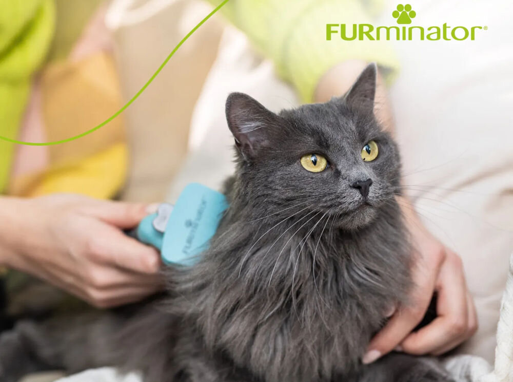 Szczotka FURMINATOR FUR151296 Czarno-zielony dla pupila ręka trzymająca kota ręka trzymająca zieloną szczotkę czesze kota czarna sierść