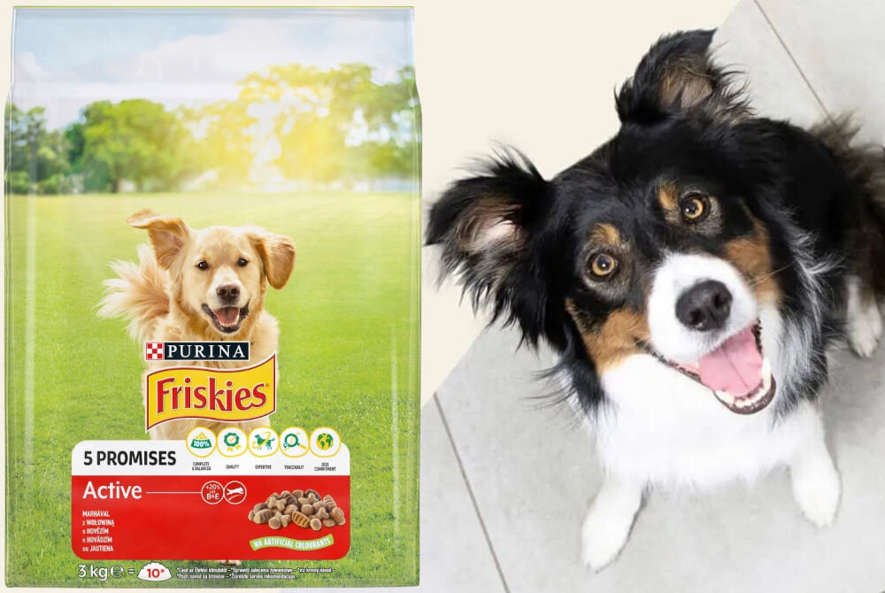 Karma dla psa FRISKIES 5 Promisses Active Wołowina 3 kg sklad analiza