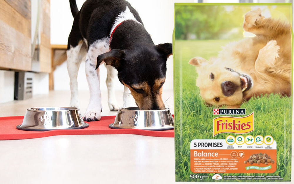 Karma dla psa PURINA Friskies Vitafit Balance Kurczak z wołowiną i warzywami 500 g witaminy zdrowie