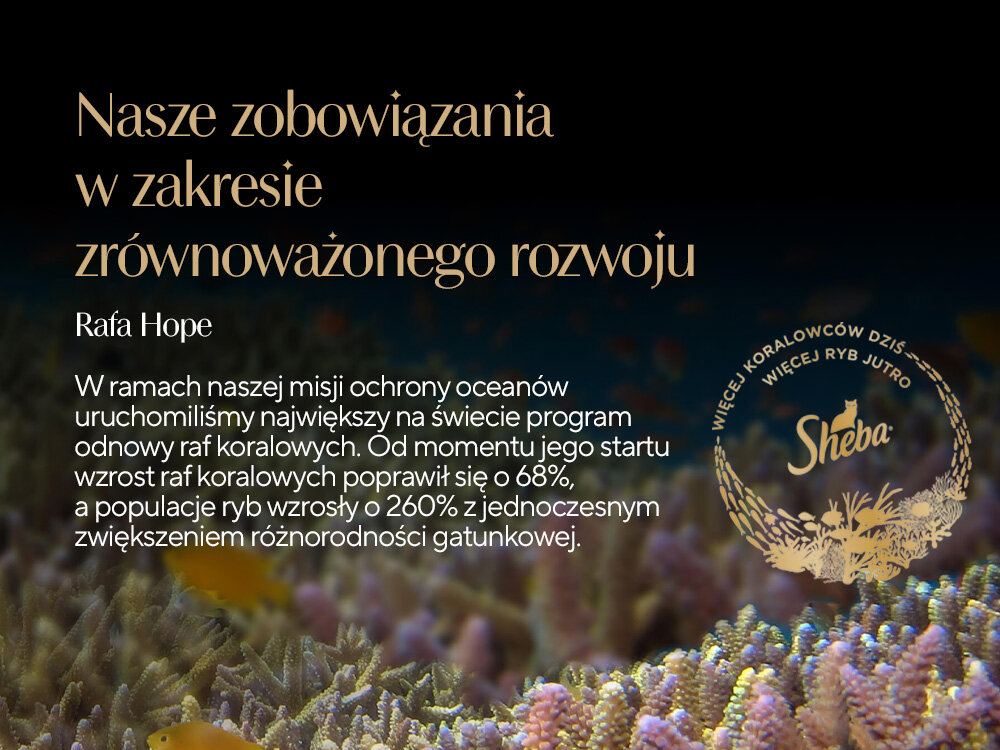 Karma dla kota SHEBA Sauce Speciale Królik z warzywami 85 g zrownoważony rozwój ochrona raf koralowych wzrost raf koralowtm i 68% wzrost populacji ryb o 260%
