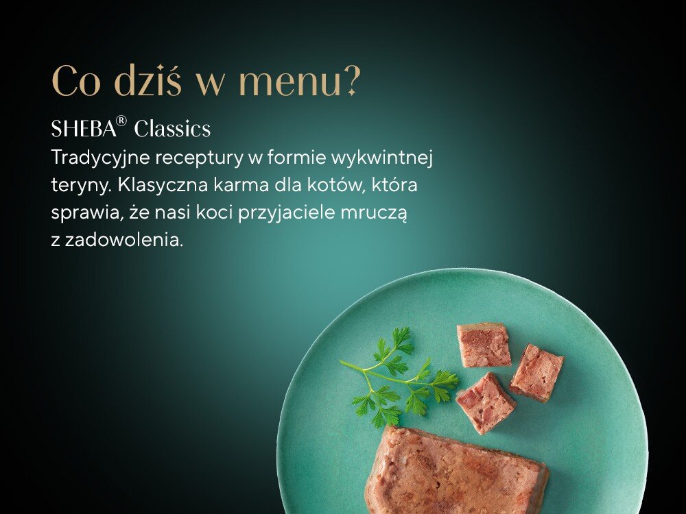 Karma dla kota SHEBA Sauce Classics Wołowina 85 g skład talerz z karmą w sosie