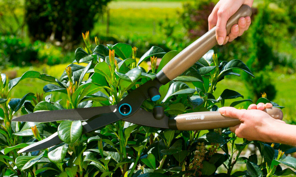 Nożyce do żywopłotu GARDENA NatureCut 12300-20 falisty szlif wydajne szybkie ciecie ciecie wikeszych powierzchni zywoplotow wieksza wydajnosc