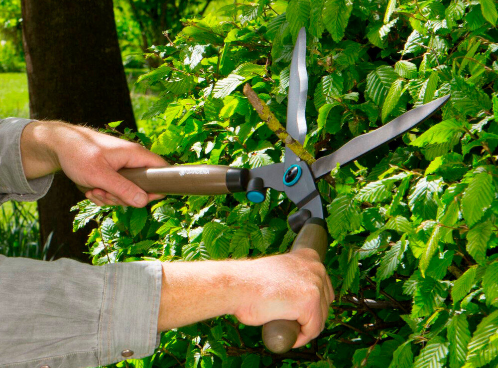 Nożyce do żywopłotu GARDENA NatureCut 12300-20 wysokiej jakosci ostrza antyadhezyjna powloka ograniczenie tarcia latwe czyszczenie ochrona przed korozja dlugosc ostrzy 230 mm wbudowany obcinak latwe ciecie grubszych galezi