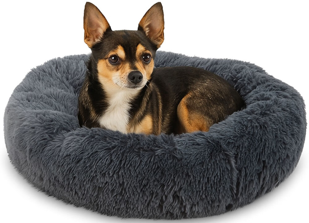 Legowisko uniwersalne MUFART 15298 z 4-centymetrowym pluszem, zapewniające poczucie bezpieczeństwa dla zwierząt do 25 kg. Pies rasy Beagle (tricolor: brązowo-czarno-biały) leży w okrągłym, puszystym legowisku z długim włosem w kolorze jasnoszarym, zwanym też legowiskiem typu 'donut'. Tło jest białe.