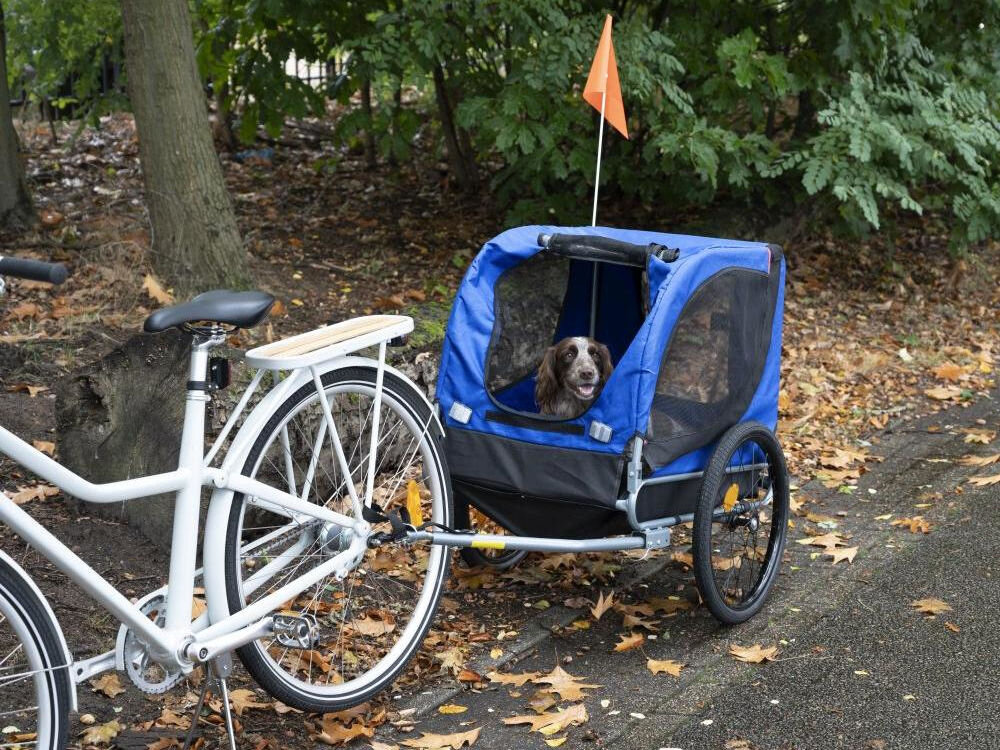 Przyczepka rowerowa BICYCLE GEAR Doggyride dla Zwierząt Niebiesko-czarny