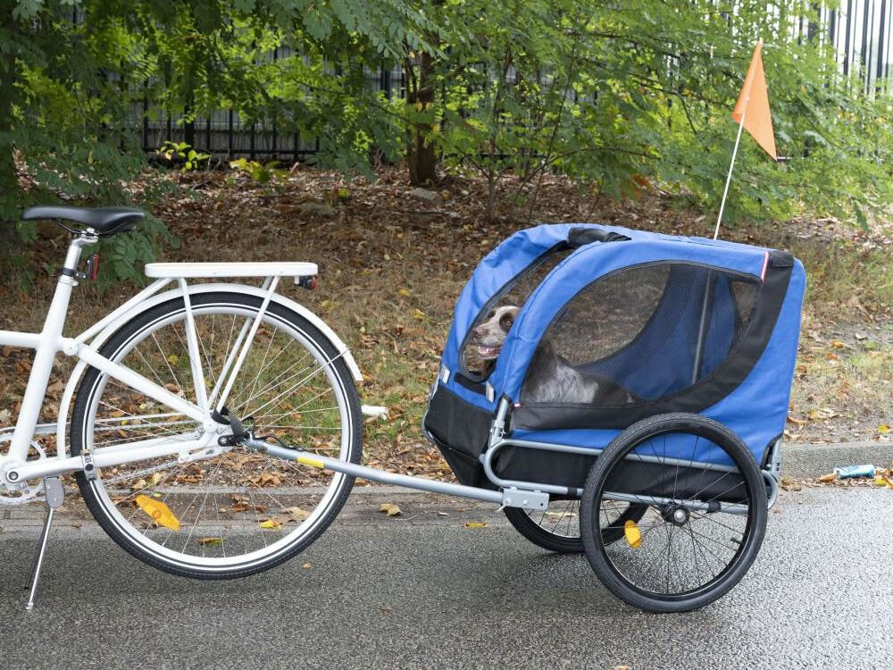 Przyczepka rowerowa BICYCLE GEAR Doggyride dla Zwierząt Niebiesko-czarny drążek długość dno wysokość