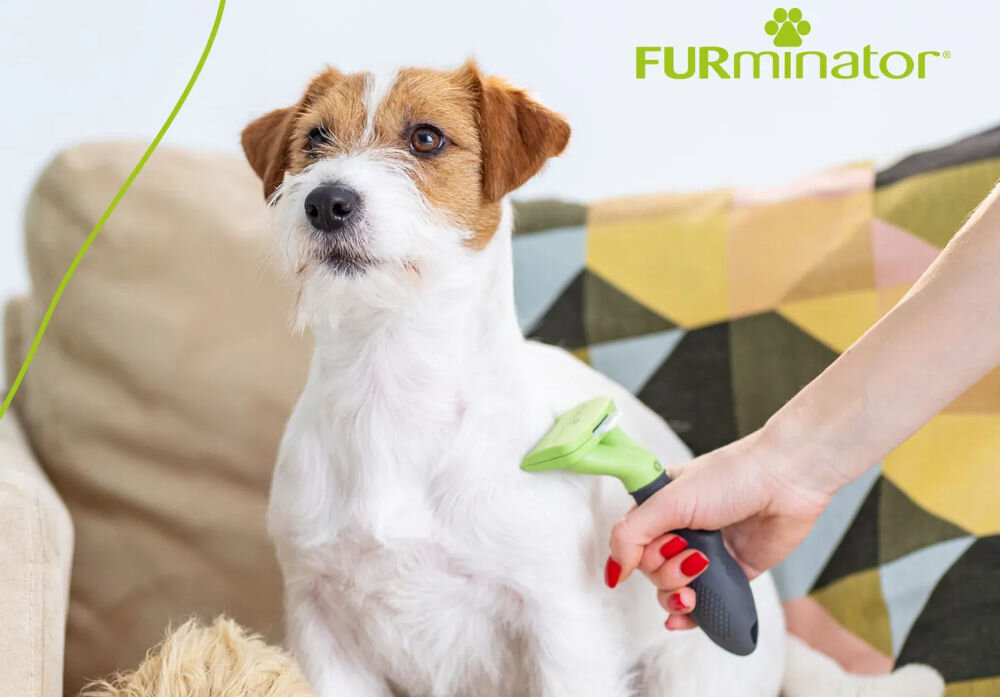 Szczotka FURMINATOR FUR151111 Czarno-zielony dla pupila ręka trzymająca szczotkę w kolorze zielono-czarnym czesze psa sierść biało brązowa