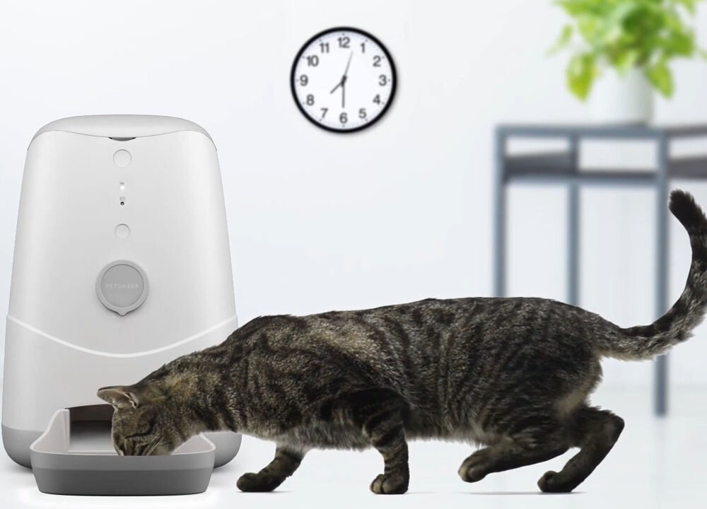 Petoneer Nutri karmnik automatyczny precyzyjne porcje programowanie aplikacja chmura 3.7L