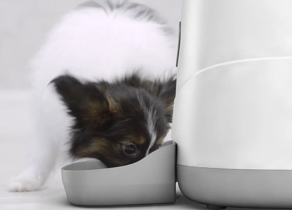 Petoneer Nutri karmnik automatyczny system Reverse Rotation czujniki poziomu power bank ochrona przed zacięciem