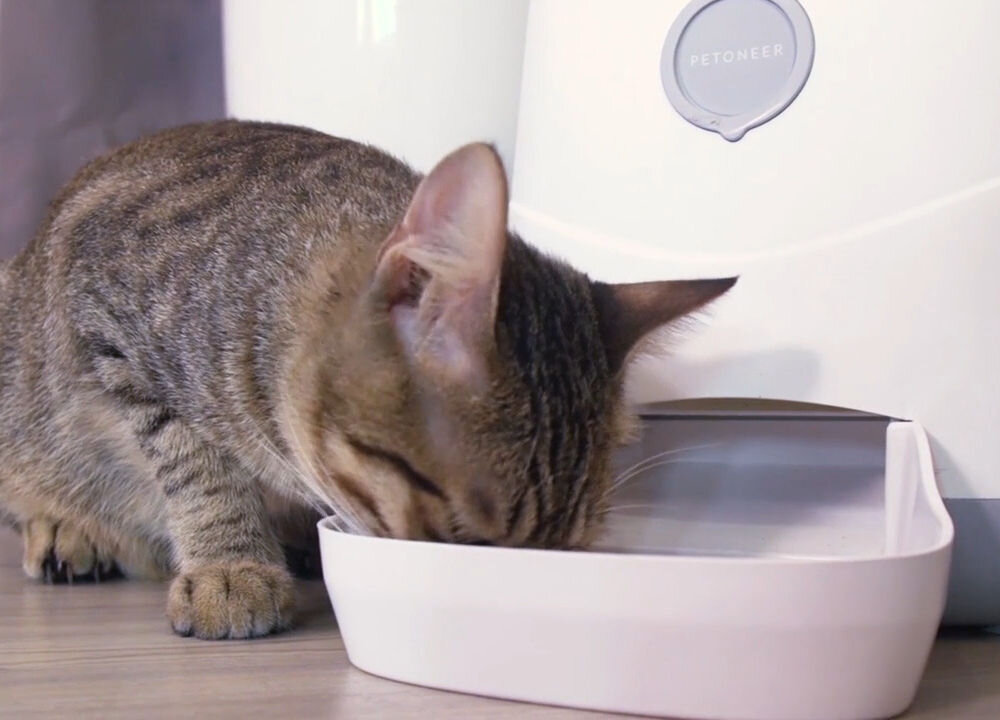 Petoneer Nutri karmnik automatyczny Amazon Alexa Tuya sterowanie głosowe kabel USB-A do USB-C