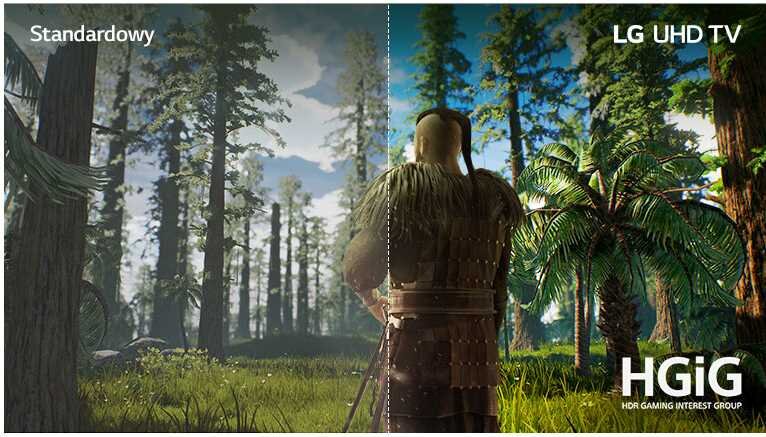 Telewizor LG UQ81003LB  - hgig