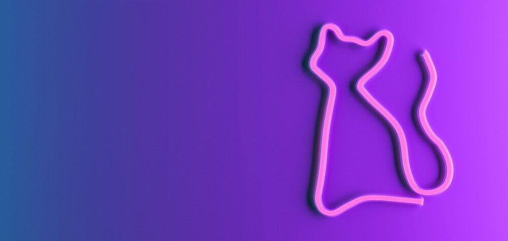 Neon LED FOREVER LIGHT Kot RTV100210 nastrój neony pomieszczenie światło atmosfera