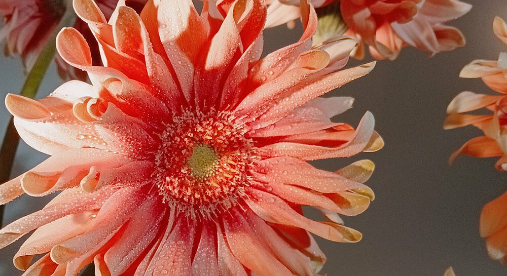 Smartfon OPPO A16s  ekran bateria aparat procesor ram pamięć pojemność rozdzielczość zdjęcia filmy opis dane cechy blokady system łączność wifi bluetooth obudowa szkło odporność porty muzyka transfer sieć przekątna matryca waga czujniki