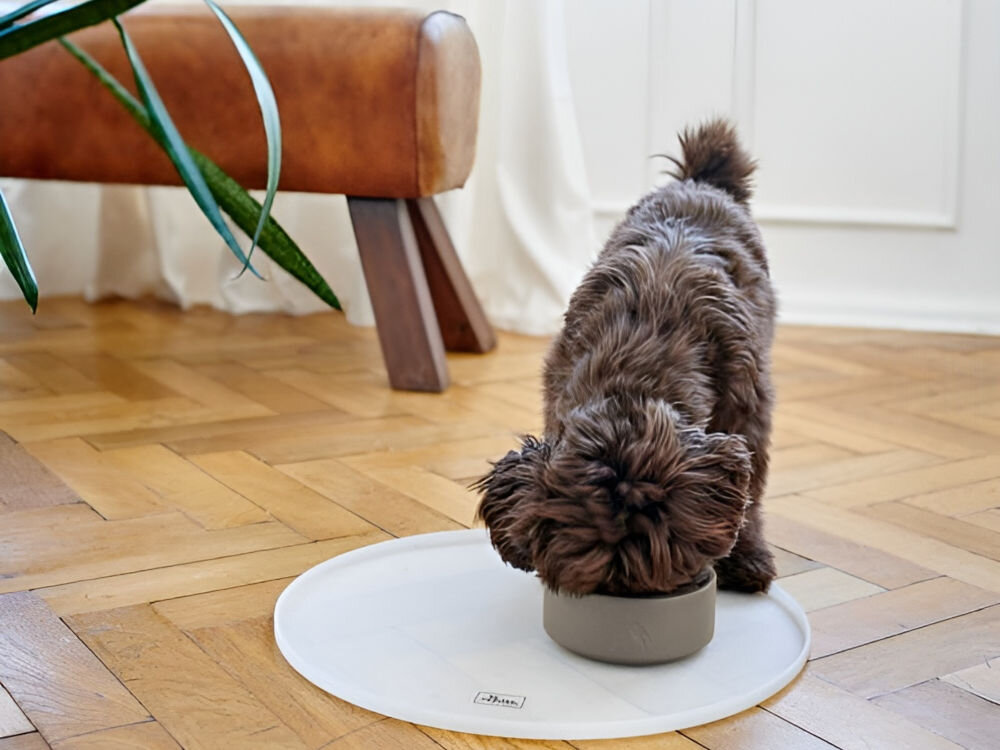 Miska ceramiczna dla psa HUNTER Osby 68986 Beżowy, elegancki design i funkcjonalność, gustowne akcesorium dla psa - Na zdjęciu znajduje się brązowy pies jedzący z beżowej miski umieszczonej na jasnej podkładce na drewnianej podłodze. W tle widoczna jest brązowa ławka oraz roślina doniczkowa, a na podkładce znajduje się logo Hunter