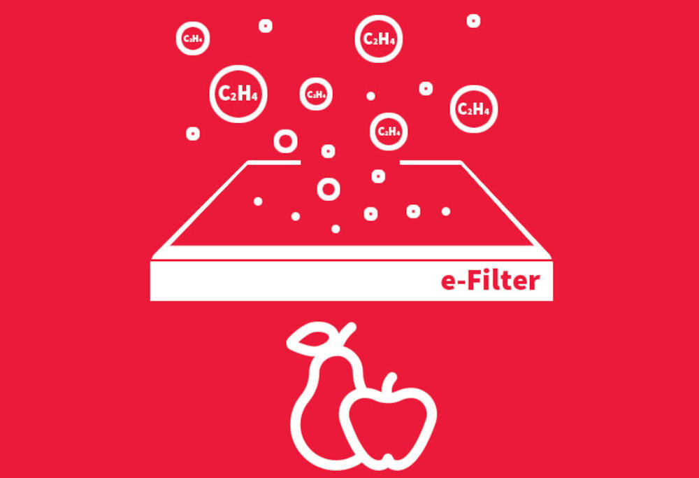 SHARP SJ-FF560EVA-EU technologia filtr żywność gaz etylenowy owoce warzywa