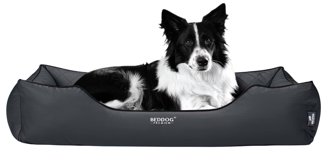 Legowisko dla psa BEDDOG Buffy Ortopedyczne XXL Antracytowy wygląd design prezentacja wizualizacja leżący pies
