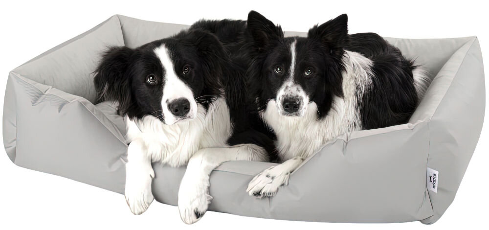 Legowisko dla psa BEDDOG Zara XXL Jasnoszary Zdjęcie produktowe na białym tle. Dwa psy rasy Border Collie leżą obok siebie w dużym, Jasnoszarym, prostokątnym legowisku dla psa (materac z podniesionymi bokami). Oba psy patrzą wprost na widza.