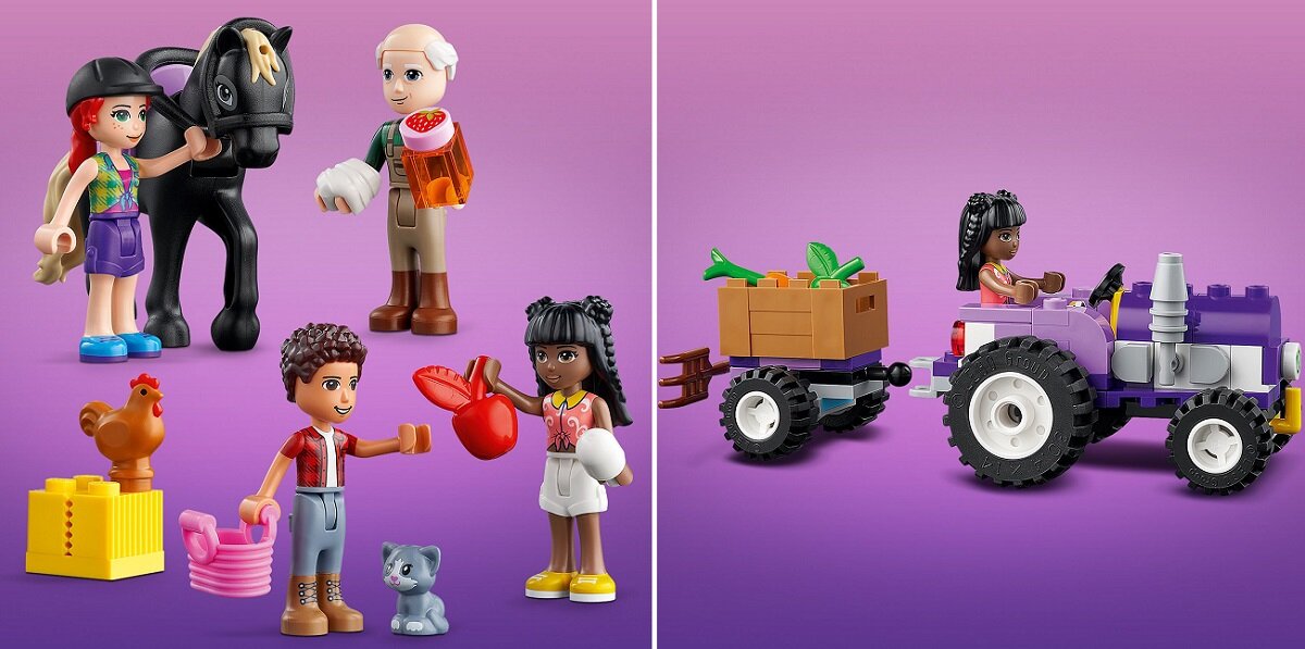 LEGO Friends Ekologiczna farma 41721 Pomoc w rozwoju życiowych umiejętności